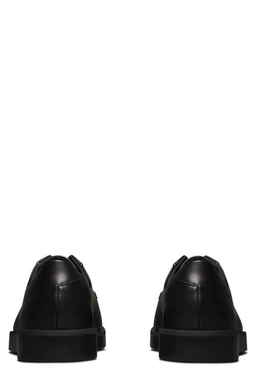 Wolf & Shepherd Closer Derby In Black