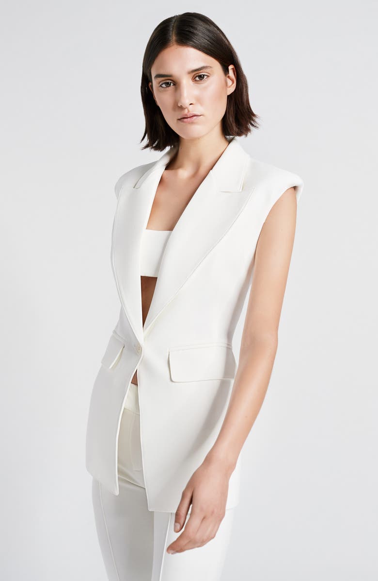 Smythe Deep V-Neck Tailored Vest, Alternate, color, 