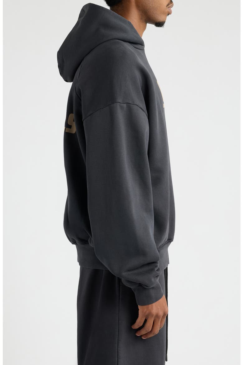 Classic Raglan Cotton Hoodie, Alternate, color, WASHED VINTAGE BLACK