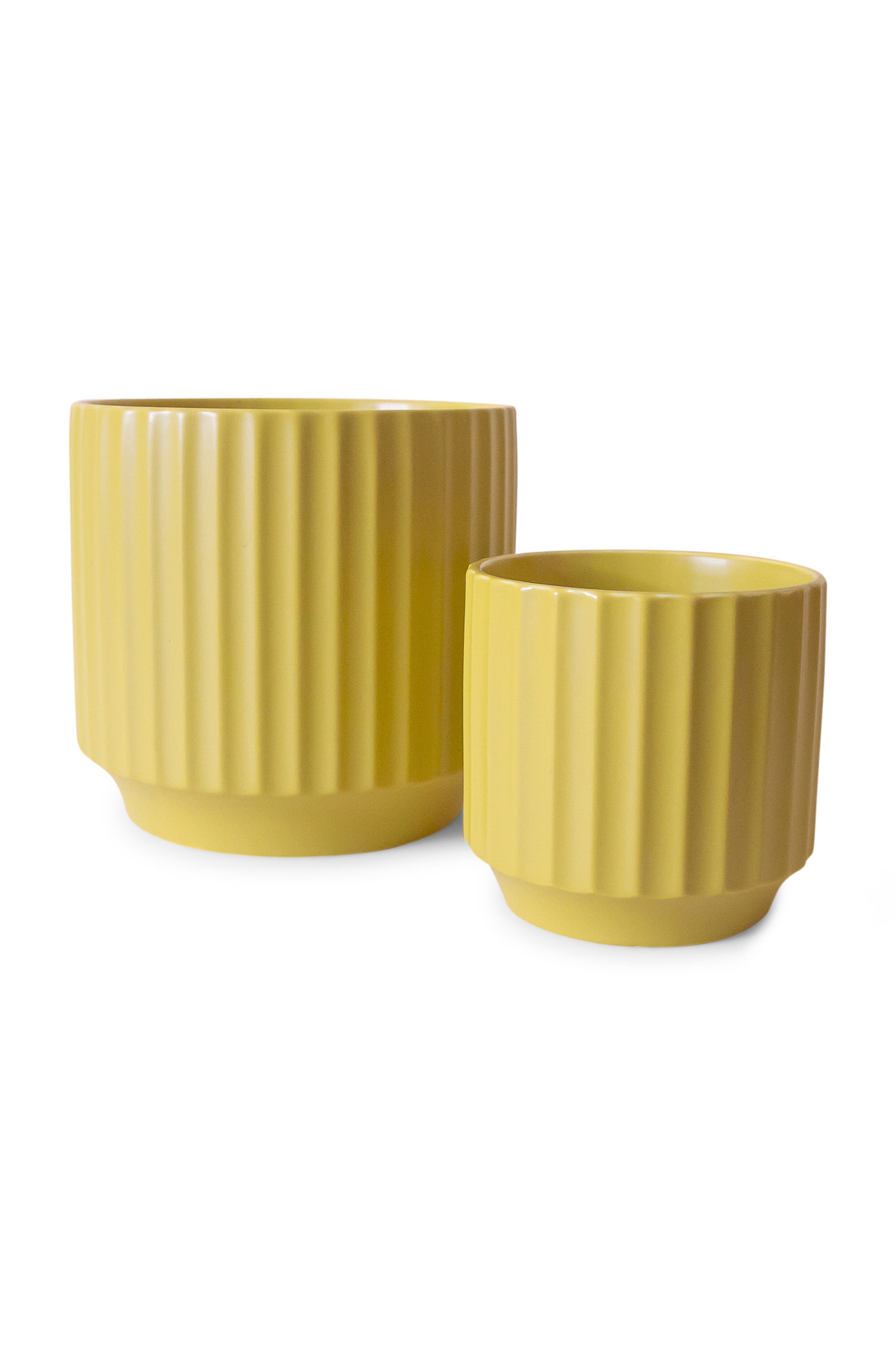 Jungle Club Monroe Planter In Brown