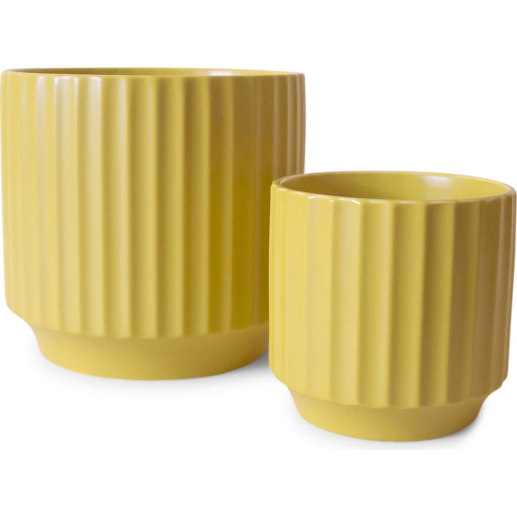 Jungle Club Monroe Planter In Brown