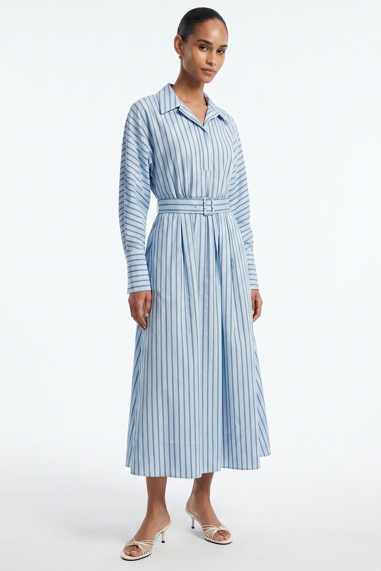 Bogie Raglan Sleeve Belted Midi Dress, Alternate, color, Multi Color