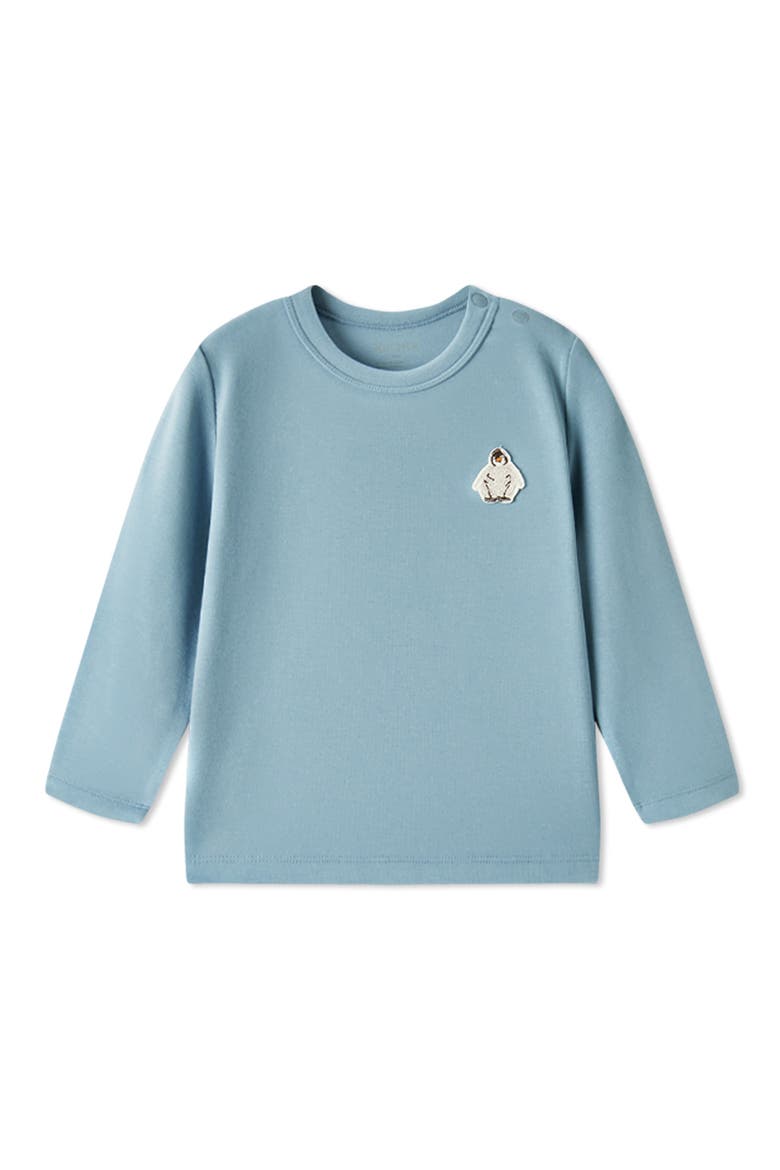 Brushed Long Sleeve T-Shirt, Main, color, Stone