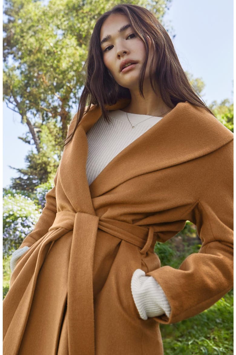 Brigette Cashmere Wool Robe, Alternate, color, Camel