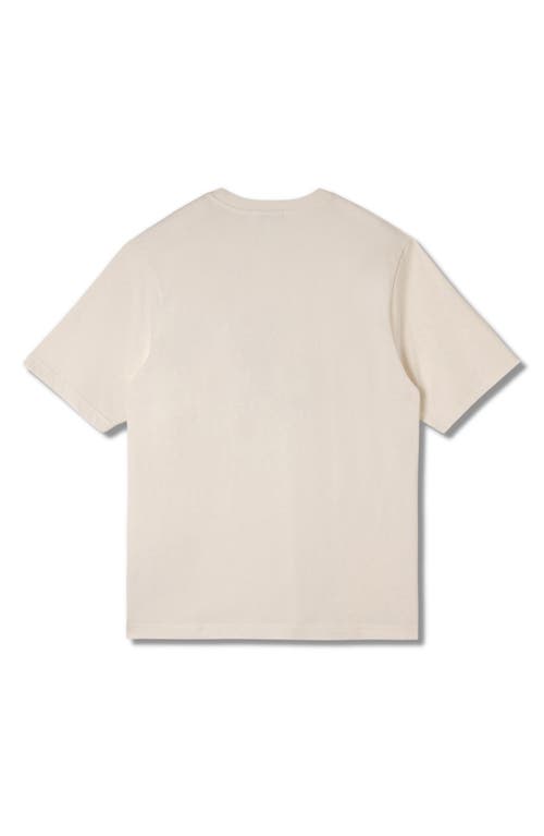 Stan Ray Stan Dunk Cotton Graphic T-shirt In Natural