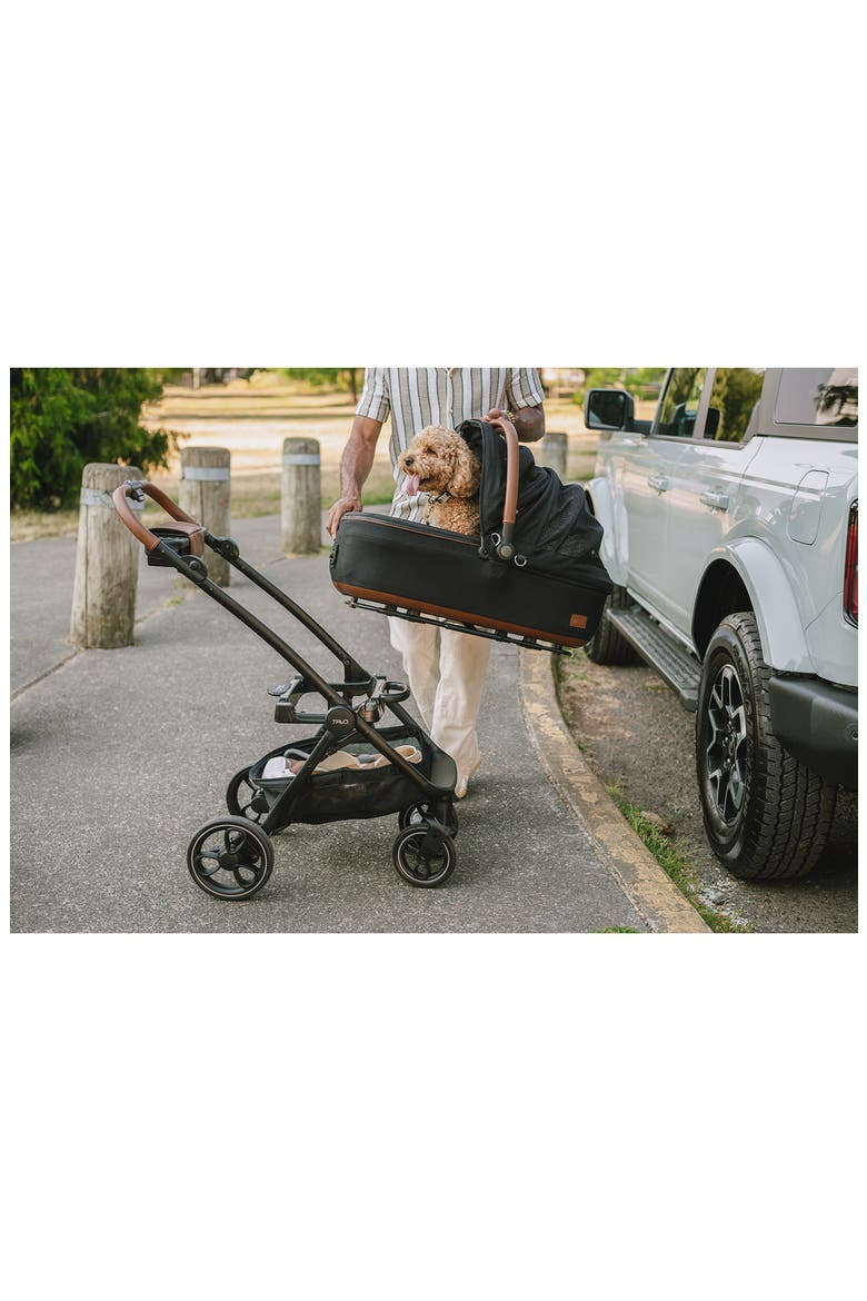 Maeve™ Medium Rigid Pet Car Seat, Alternate, color, ONYX