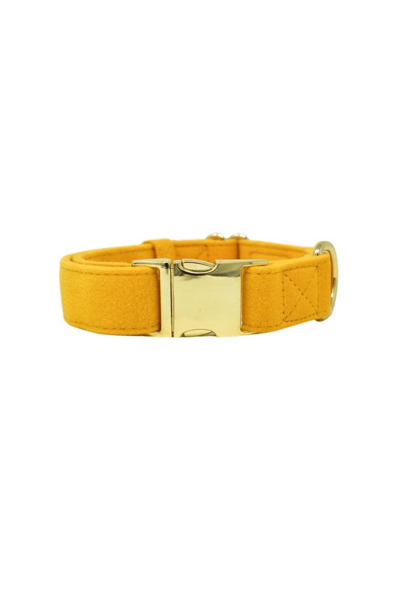 Nova Dog Collar, Main, color, Nova