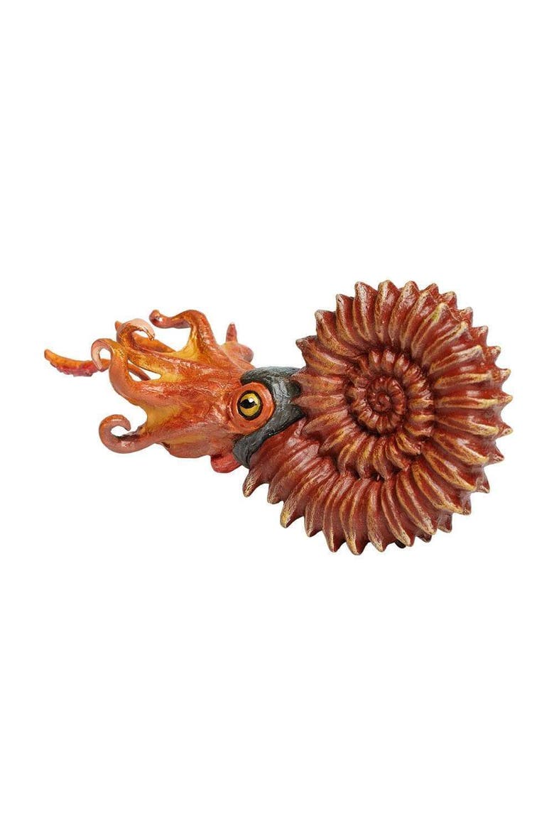 Ammonite Toy, Alternate, color, No Color
