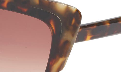 Ted Baker 55mm Gradient Cat Eye Sunglasses In Brown