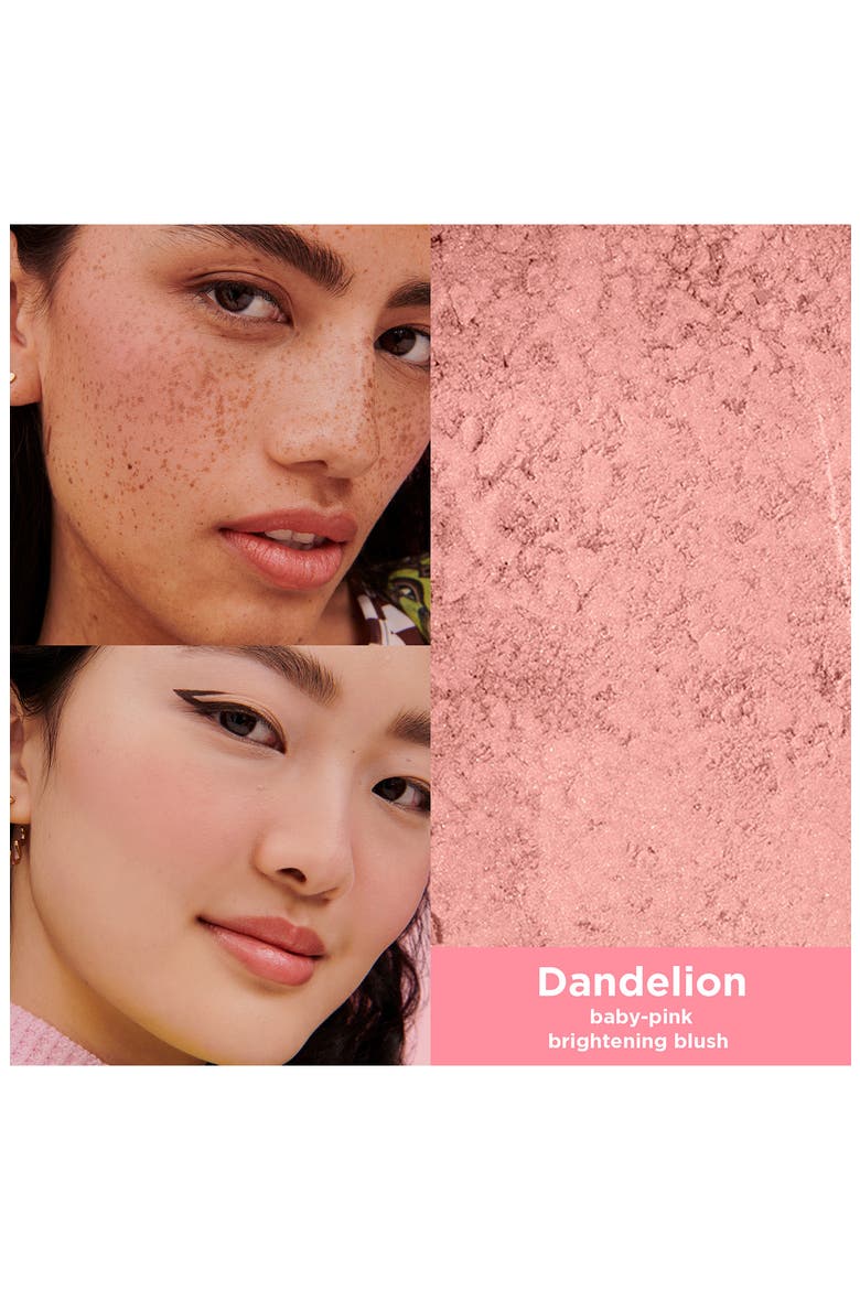 WANDERful World Silky Soft Powder Blush, Alternate, color, DANDELION