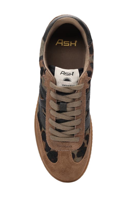 Ash Sunset Sneaker In Brown