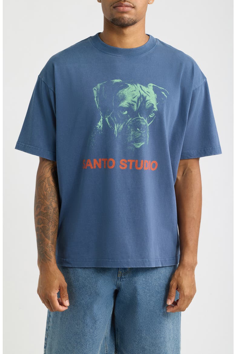 Cynical Stare Dog Graphic T-Shirt, Main, color, FADE BLUE