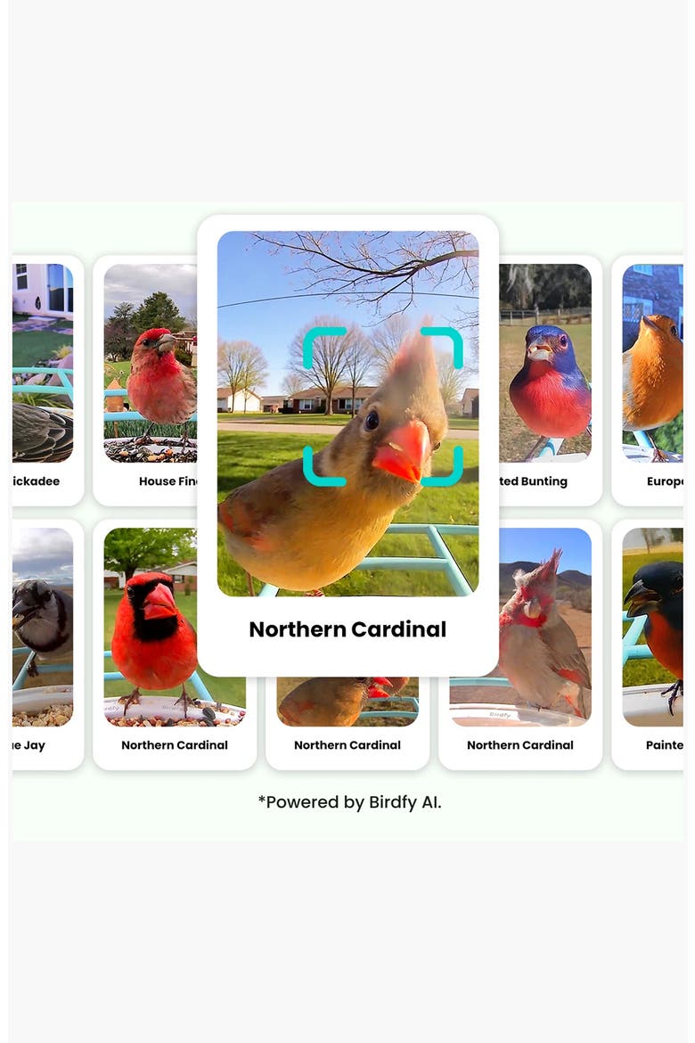 Smart Bird Feeder with Camera, Alternate, color, BLUE