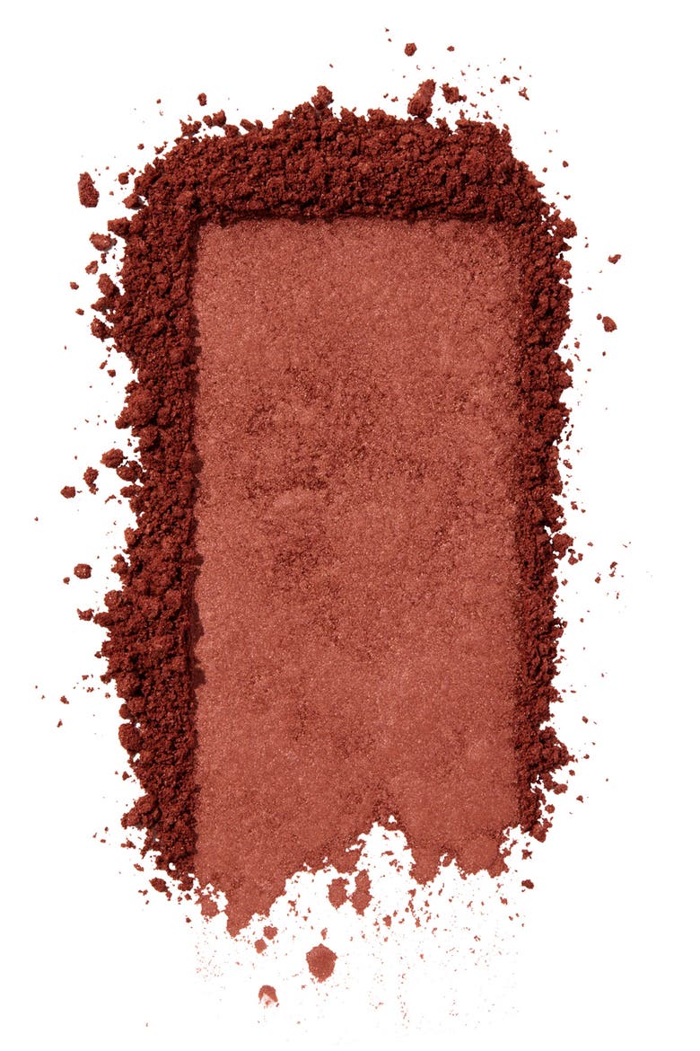 WANDERful World Silky Soft Powder Blush, Alternate, color, TERRA