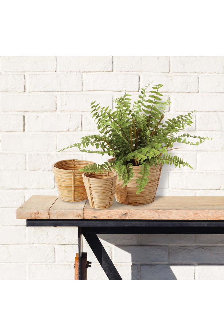 Boston Fern Drop-In 12", Alternate, color, Green