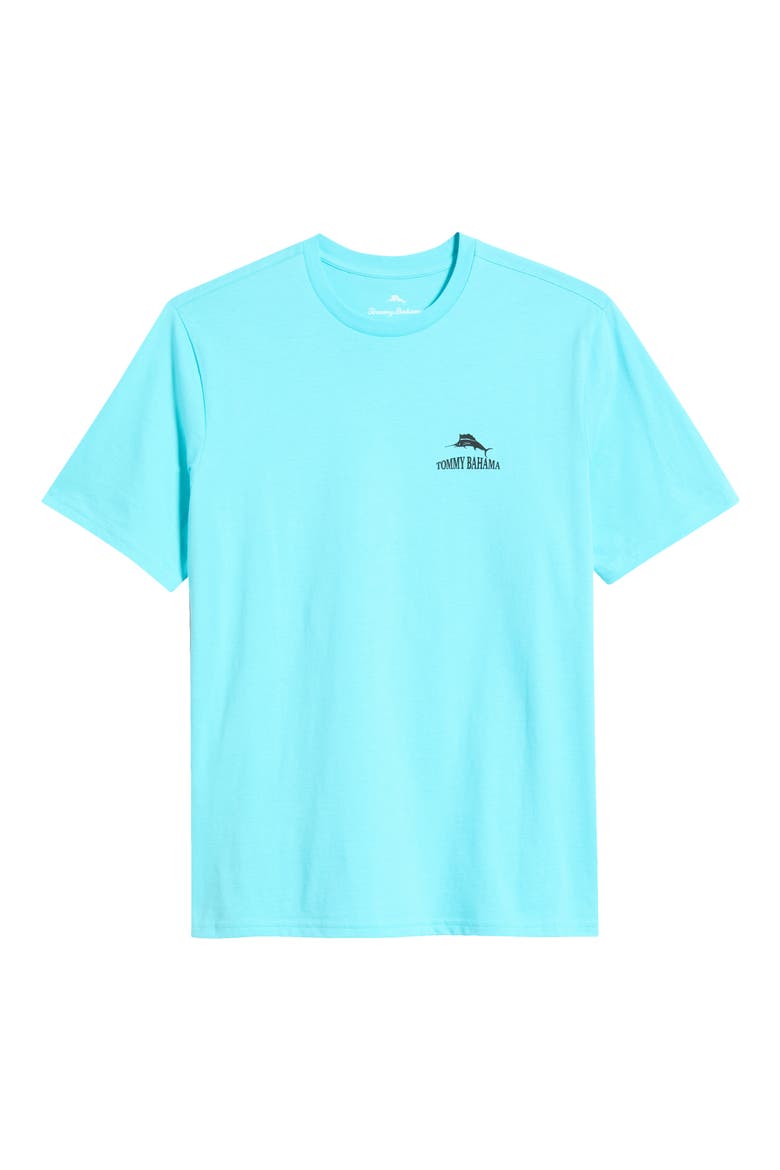 The Coast is Clear Cotton Graphic T-Shirt, Alternate, color, BLUE RADIANCE