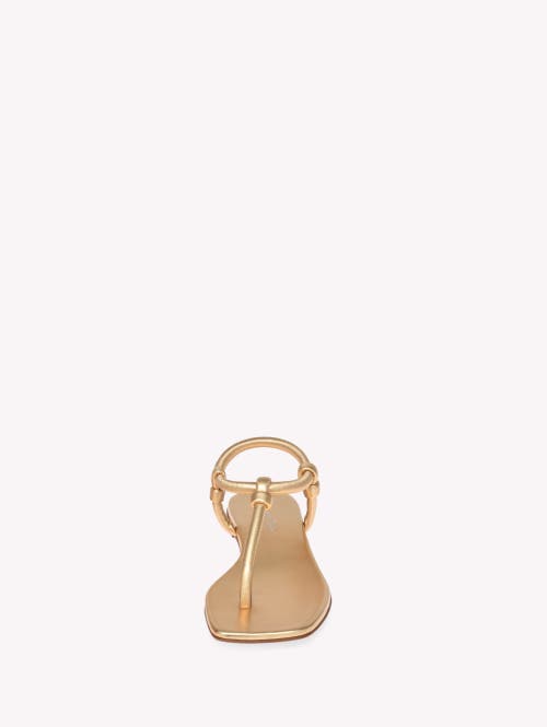 Gianvito Rossi Juno Thong Sandals In Gold