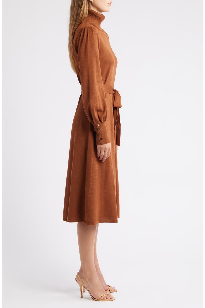 Turtleneck Long Sleeve Midi Dress, Alternate, color, BROWN