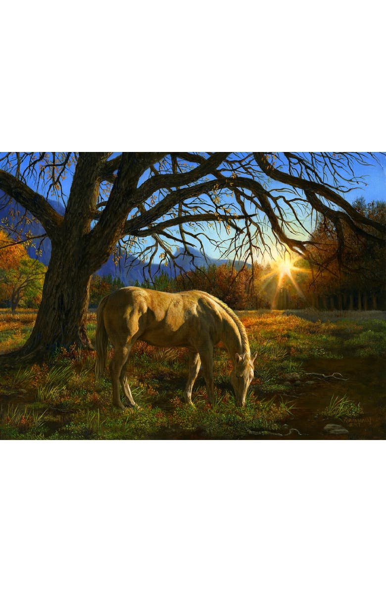 Sunsout Pastoral Sunset 1000 piece Jigsaw Puzzle for Adults, Alternate, color, Multicolor