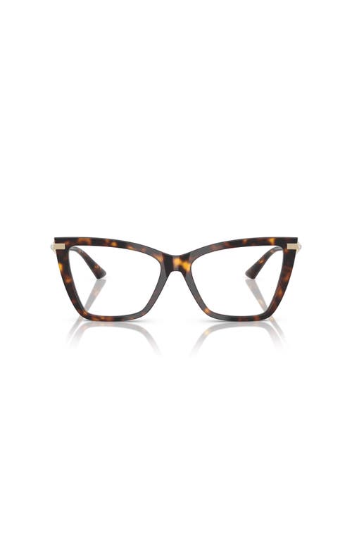 Jimmy Choo 55mm Cat Eye Optical Glasses In Brown
