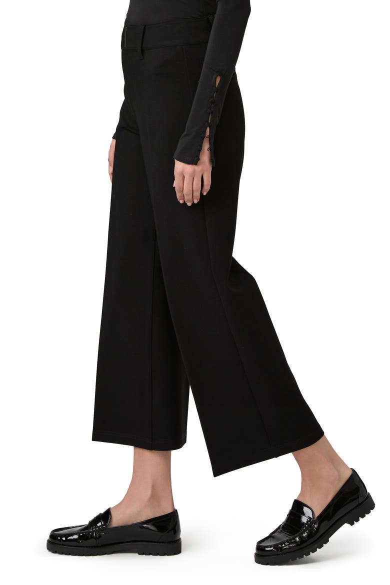 Roderika Crop Pants, Alternate, color, BLACK