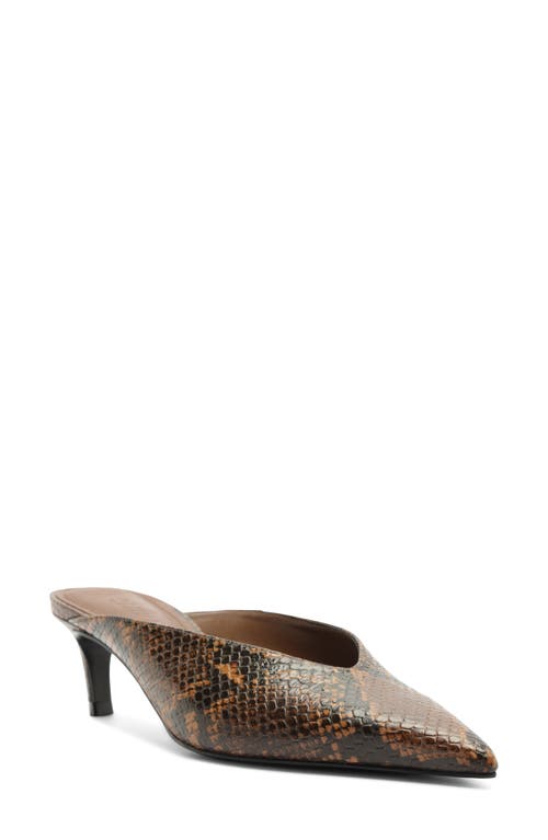 Schutz Loren Mule In Pecan Brown