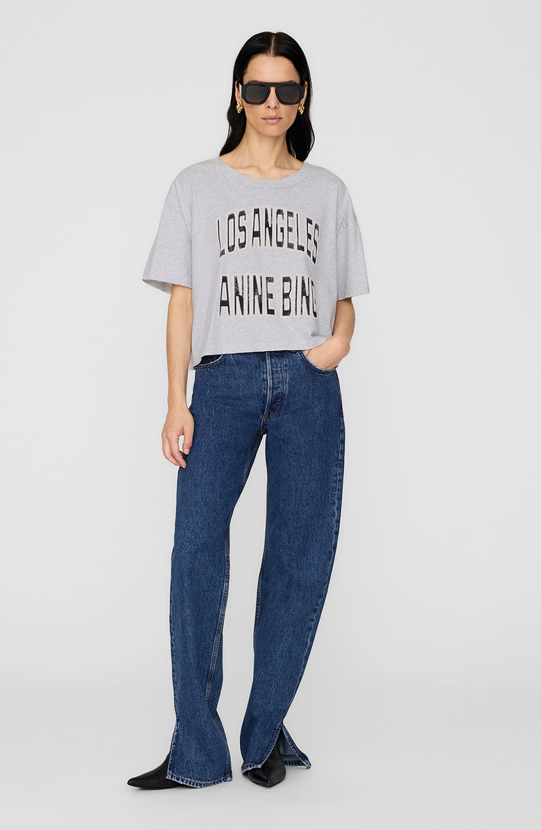 ANINE BING Johnny Cropped Tee, Main, color, Grey