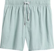 Vintage Summer Volley Swim Trunks