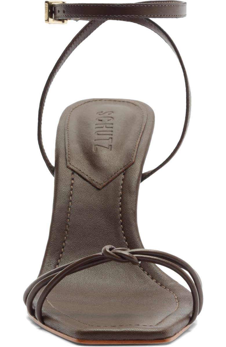 Schutz Haven Ankle Strap Sandal, Alternate, color, Root Brown