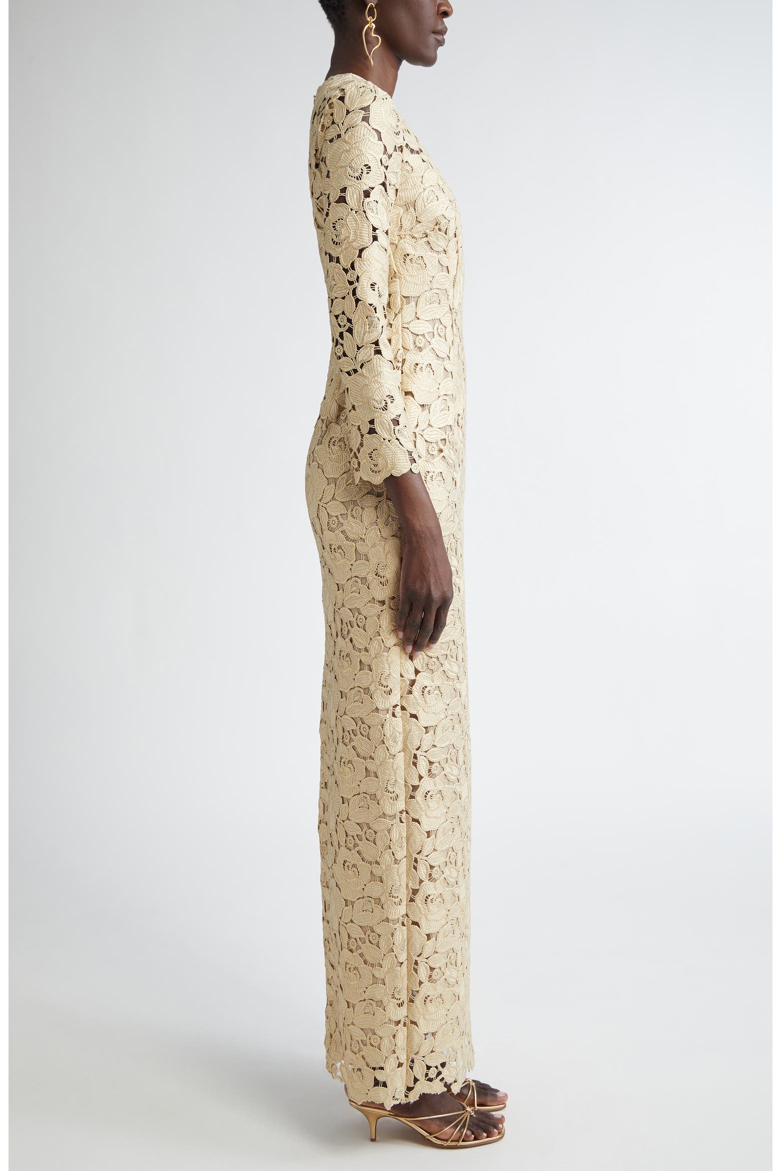 50 Long Roses Oscar de la Renta Long Sleeve Foiled Rose Guipure Lace Gown (Women ...