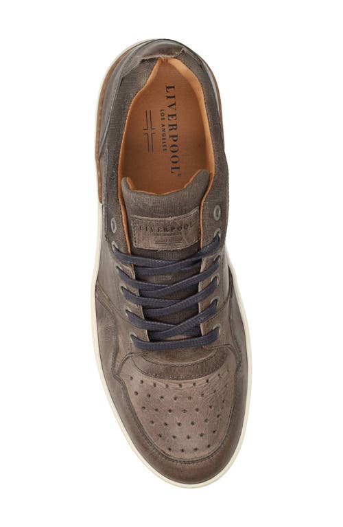 Liverpool La Launch Sneaker In Grey