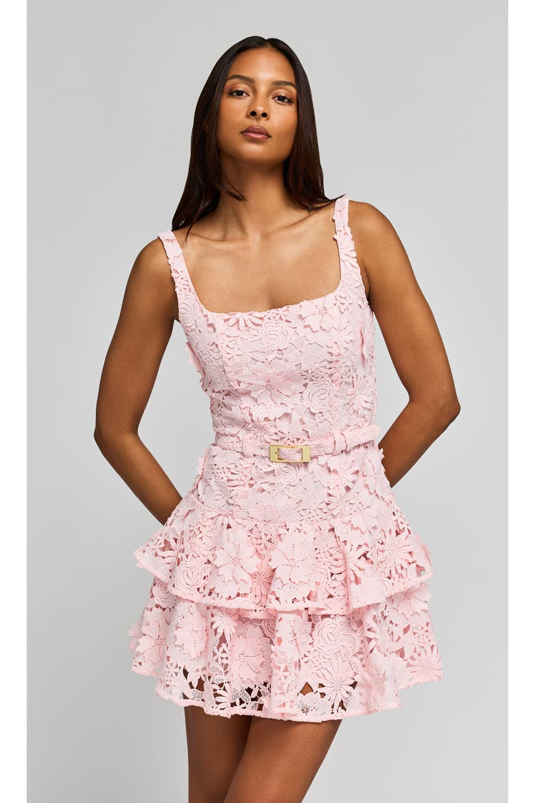 Lisette 3D Lace Dress, Main, color, Ballet Slipper