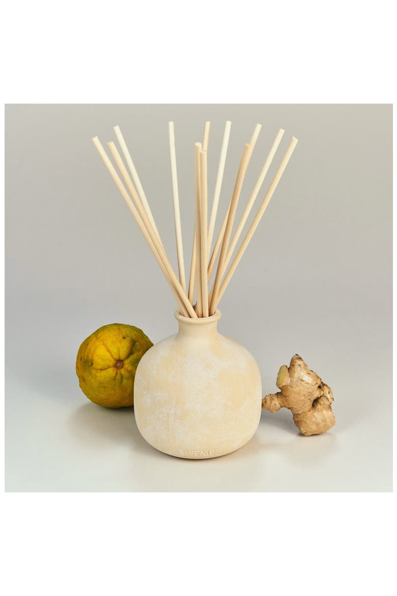 Happiness Large Ceramic Reed Diffuser, Alternate, color, NO COLOR