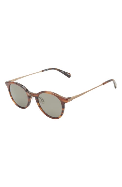 Eyebobs Golden Age 45mm Small Polarized Round Sunglasses