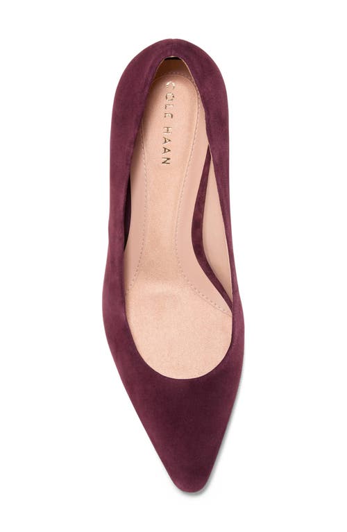 Cole Haan The Go-to Janey Pointed Toe Pump