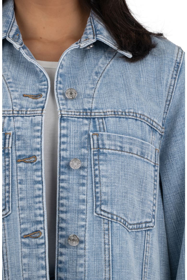 Bailey Stretch Denim Jacket, Alternate, color, LIGHT WASH
