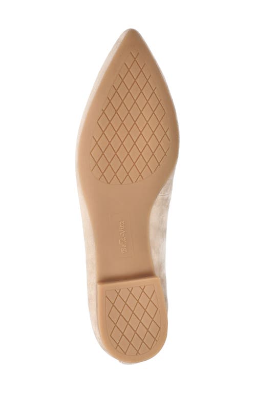 Bella Vita Alessi Perforated Pointed Toe Flat In Almond Suede