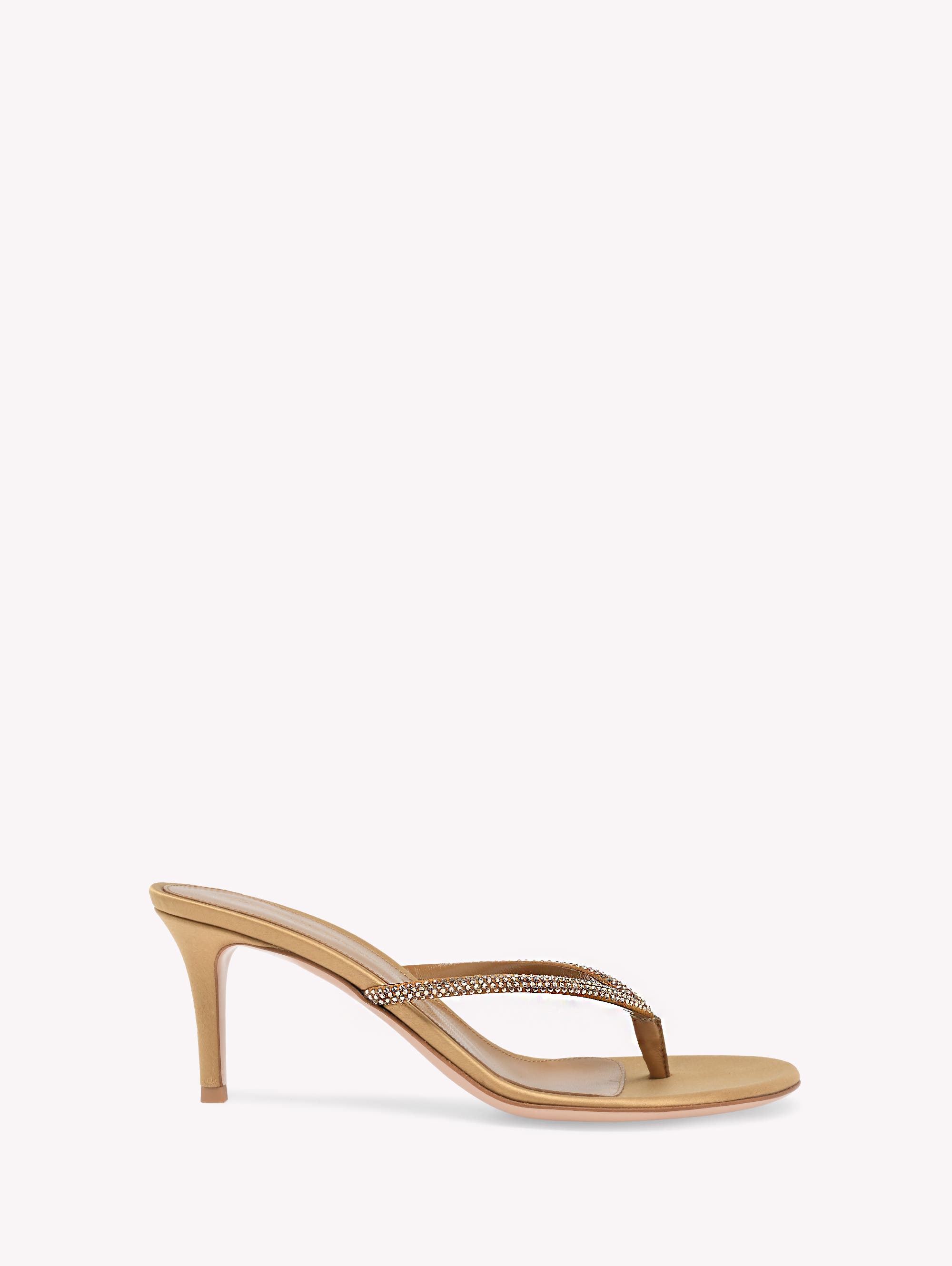 Gianvito Rossi India Thong, Main, color, Brown Leather