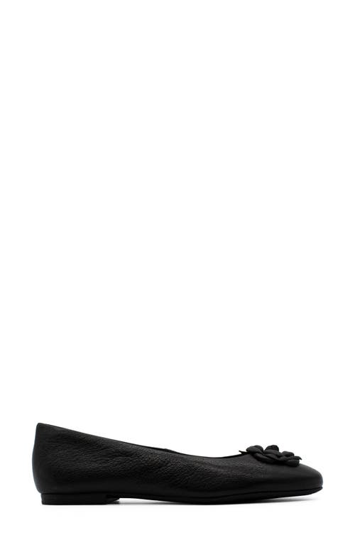 Bottero Botsamya Ballet Flat