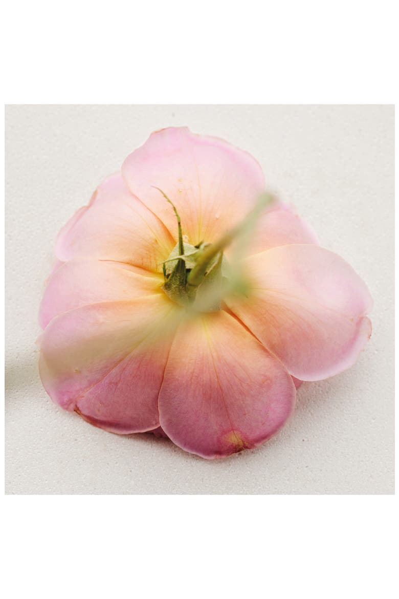 Atelier des Fleurs Rosa Damascena Eau de Parfum, Alternate, color, NO COLOR