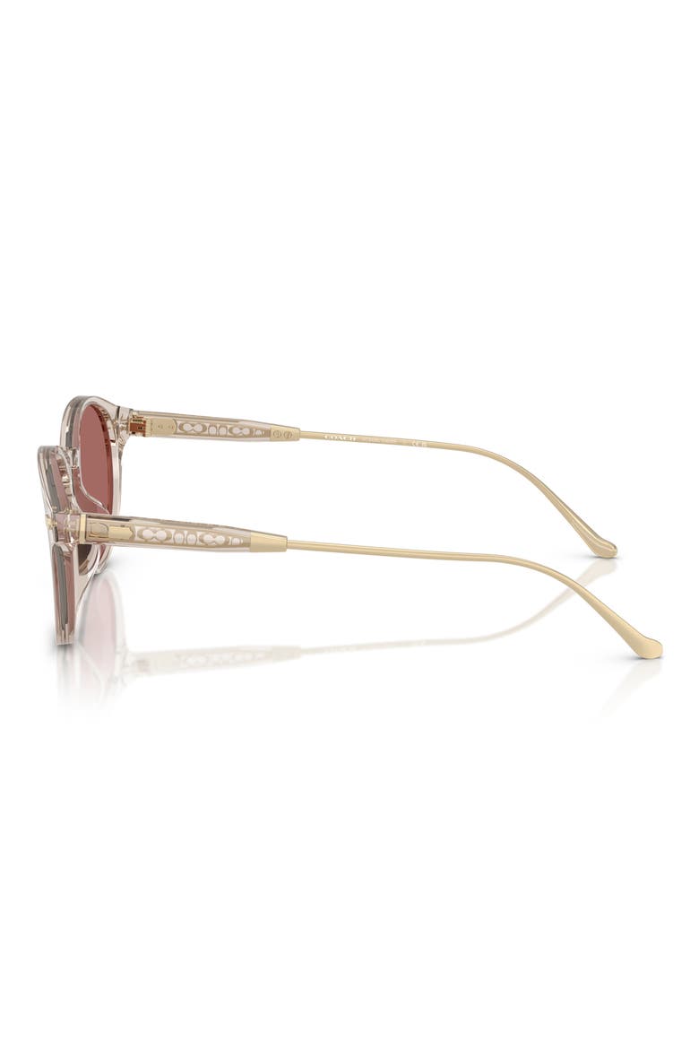 50mm Round Sunglasses, Alternate, color, TRANSPARENT SAND / WINE SOLID