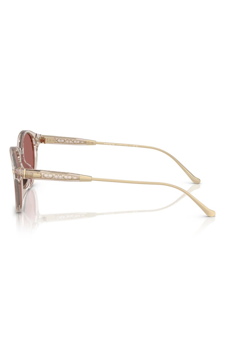 COACH 50mm Round Sunglasses, Alternate, color, Transparent Sand / Wine Solid