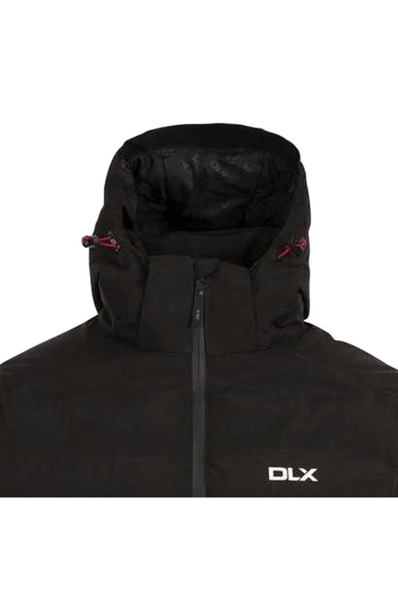Randolph Ski Jacket, Alternate, color, Black