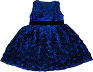 JOE-ELLA Kids' Rosetted Velvet Waistband Dress
