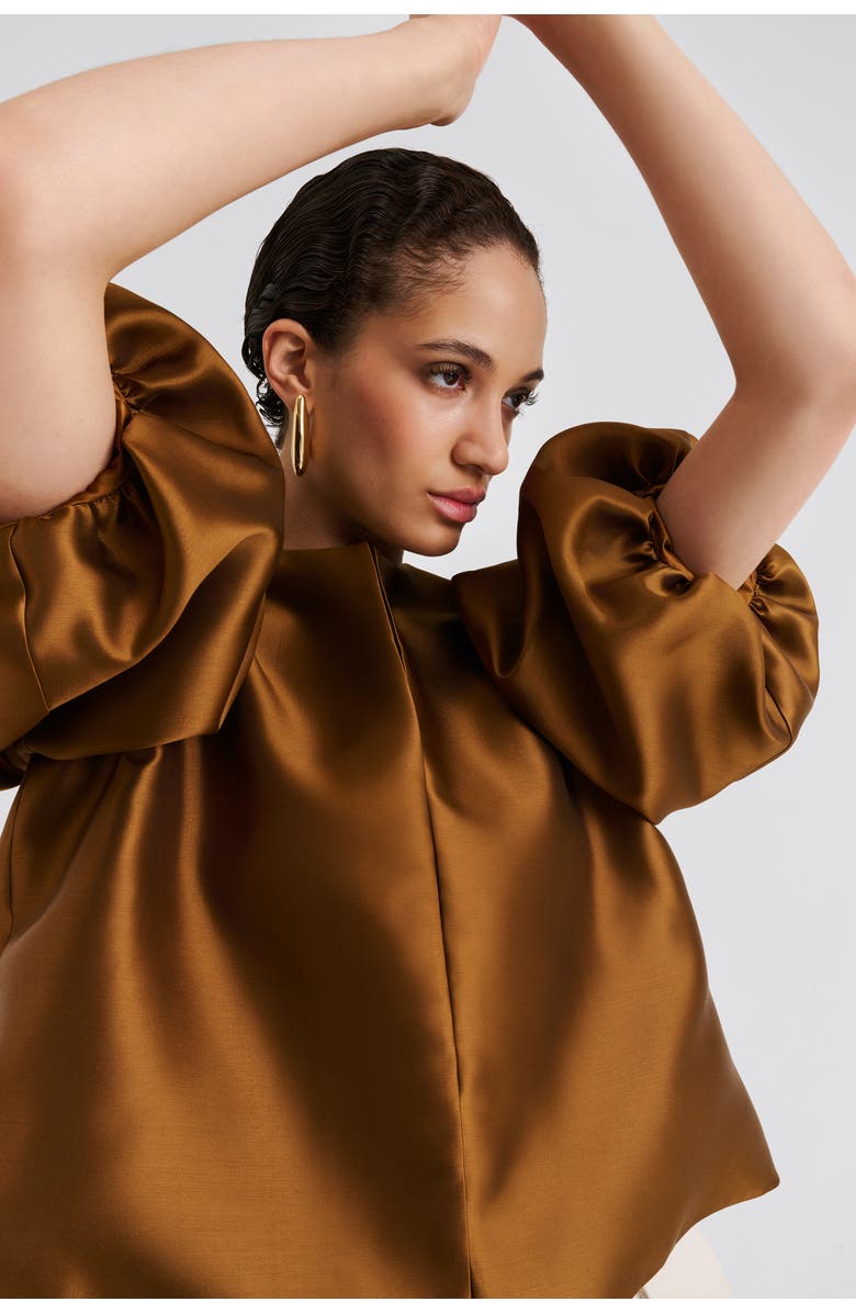 Malina Cleo Pouf Balloon Sleeve Blouse, Alternate, color, Amber