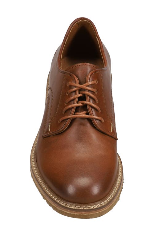 Frye Carter Derby In Brown