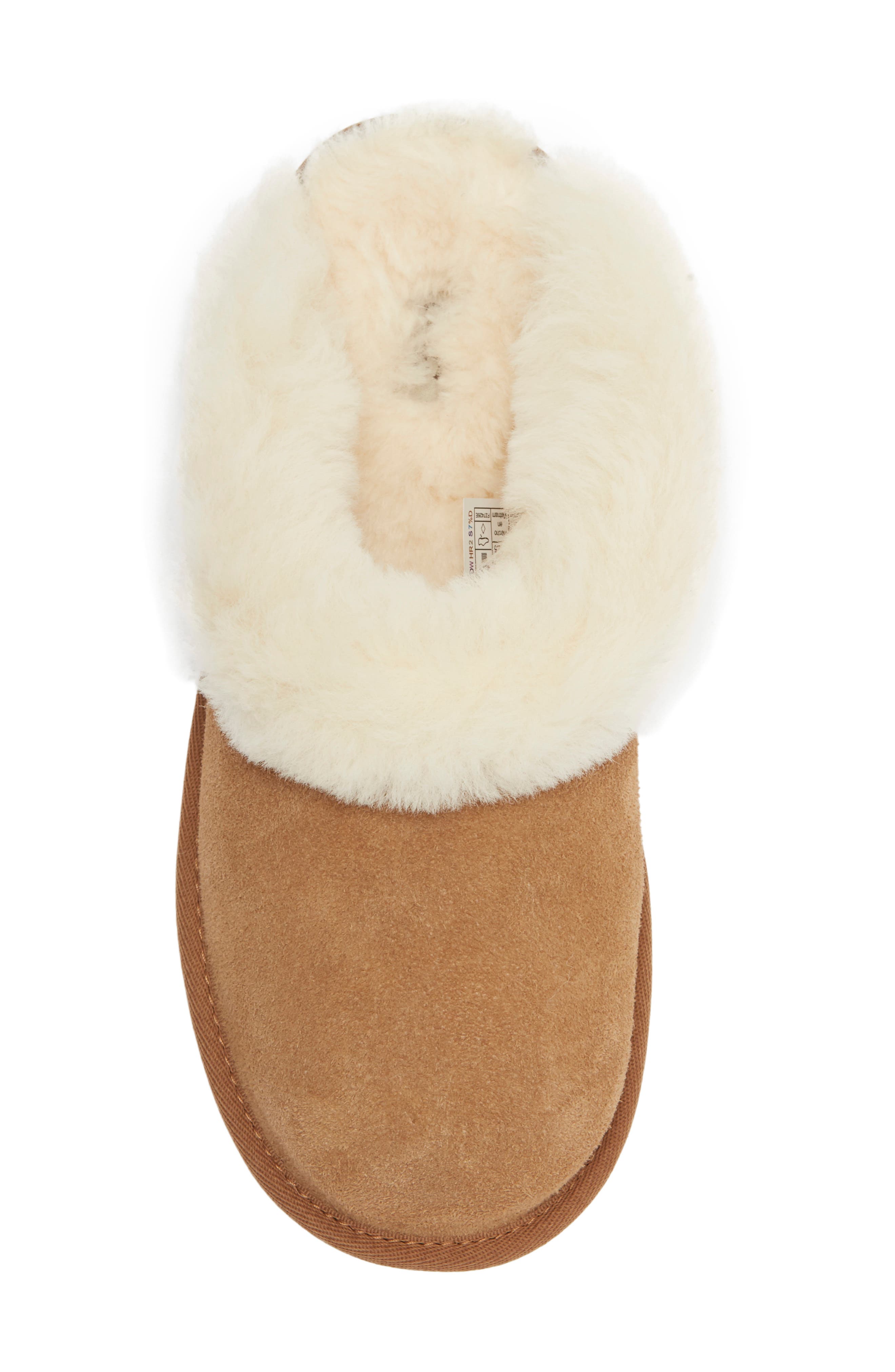 Kids' Cluggette Slipper, Alternate, color, CHESTNUT