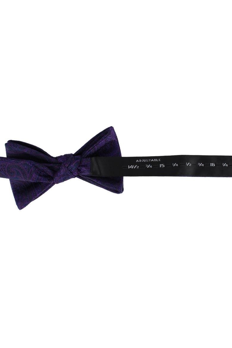 Sobee Paisley Silk Bow Tie, Alternate, color, Purple