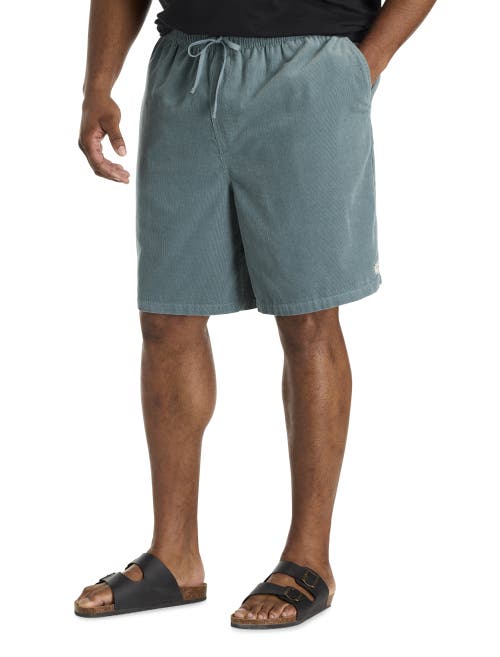 O'neill Big & Tall Cord Shorts In Gray