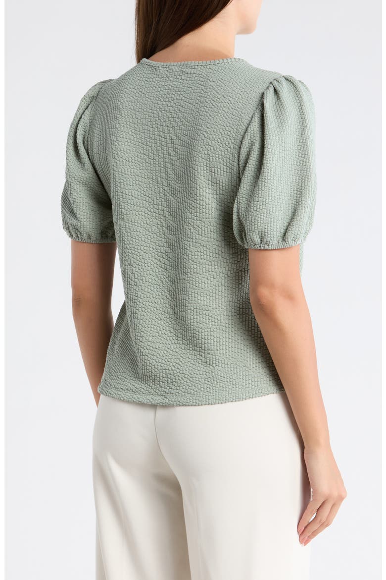 Rib Textured T-Shirt, Alternate, color, Q163 NEW SAGE